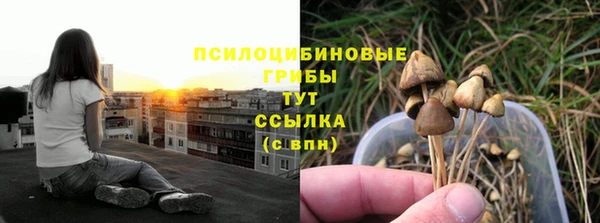 крисы Медногорск