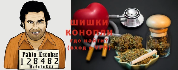 крисы Медногорск