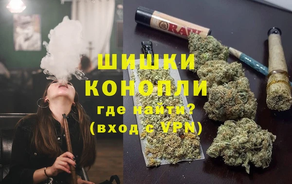 крисы Медногорск