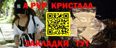 стафф Заволжье