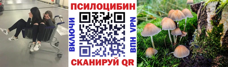 ссылка на мегу сайт  Менделеевск  Галлюциногенные грибы Cubensis 